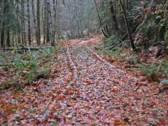 OHANAPECOSH GROUP CAMPGROUND