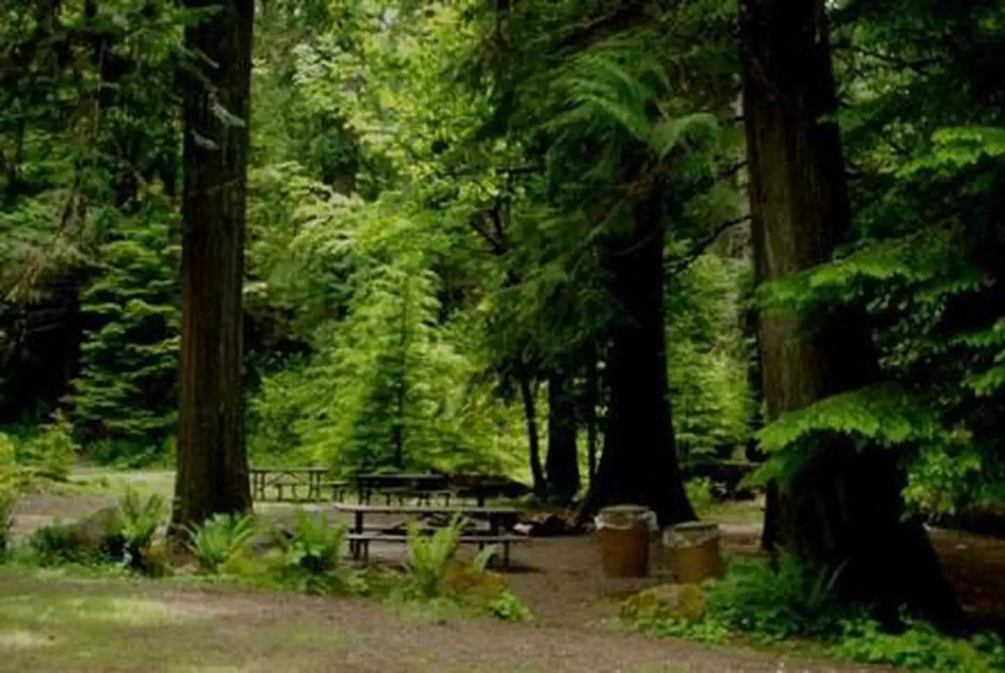 North Fork Bear Group Camp
