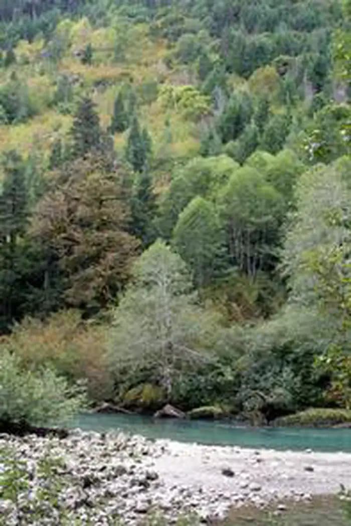 Marble Creek Campground