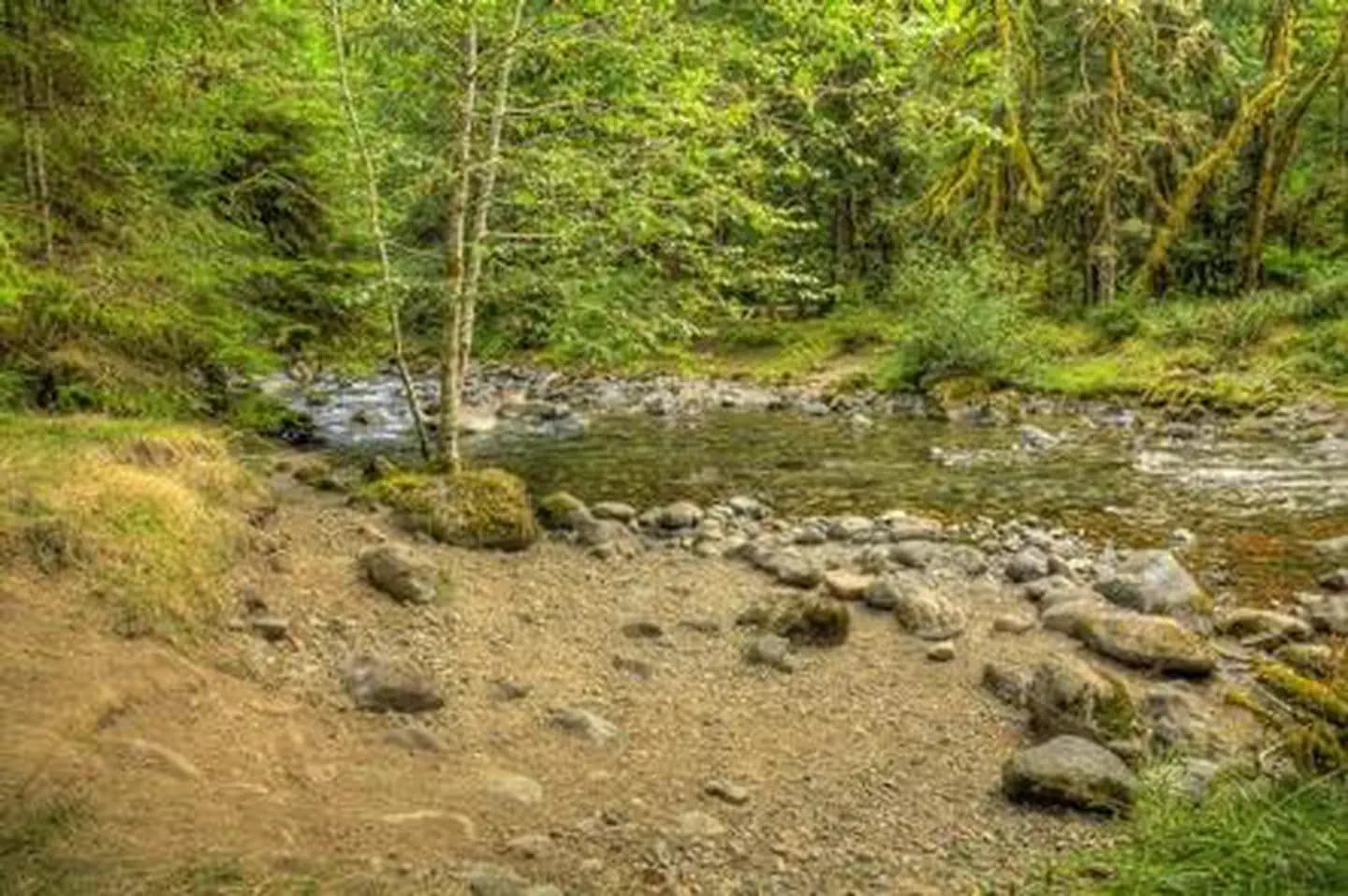 North Fork Beaver Group Camp