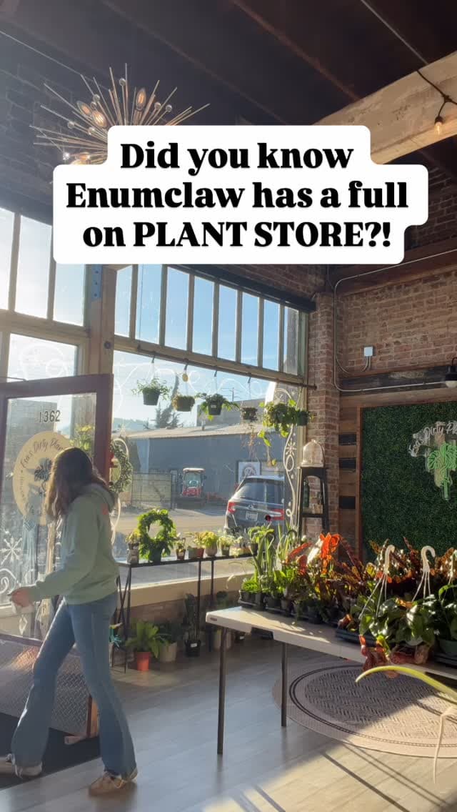 Cole Street Gets a Plant Store With Carnivorous Specimens and Chunky Soil