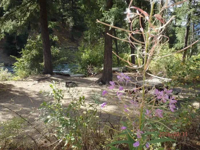 Hause Creek Campground