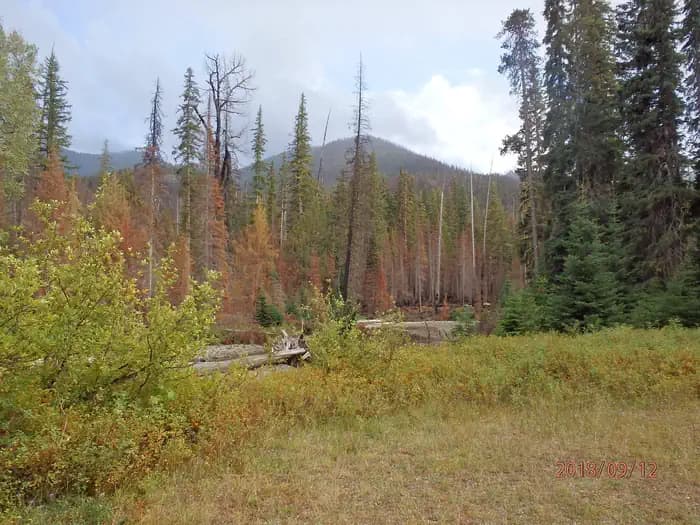 PLEASANT VALLEY CAMPGROUND