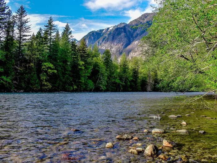 Newhalem Creek Campground