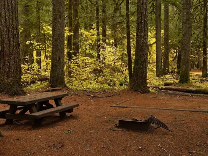 Paradise Creek campground