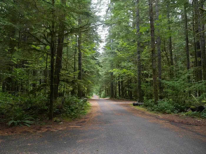 North Fork Campground (WA)