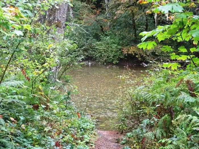 Beckler River Campground