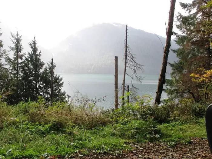 Shannon Creek Campground