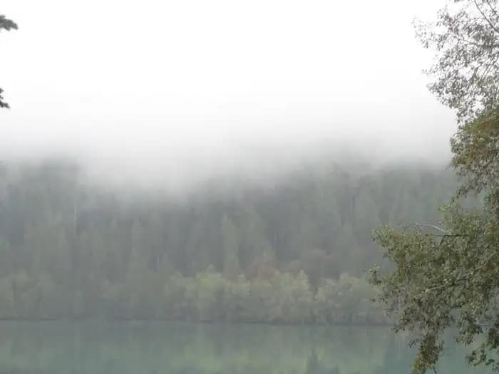 Horseshoe Cove Campground