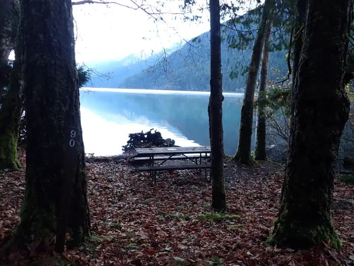 Fairholme Campground