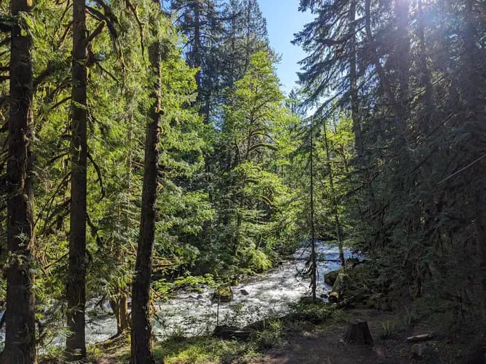 BUCK CREEK CAMPGROUND