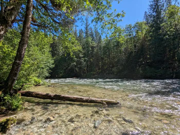 Bedal Campground
