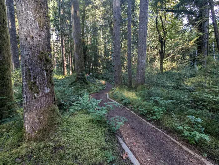 Middle Fork Campground