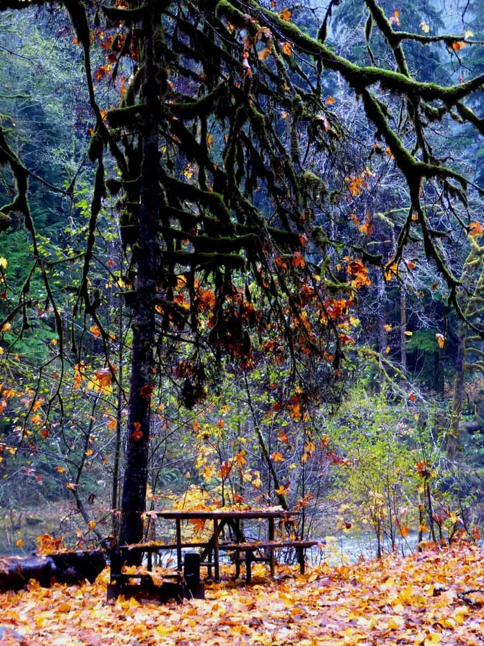 Staircase Campground
