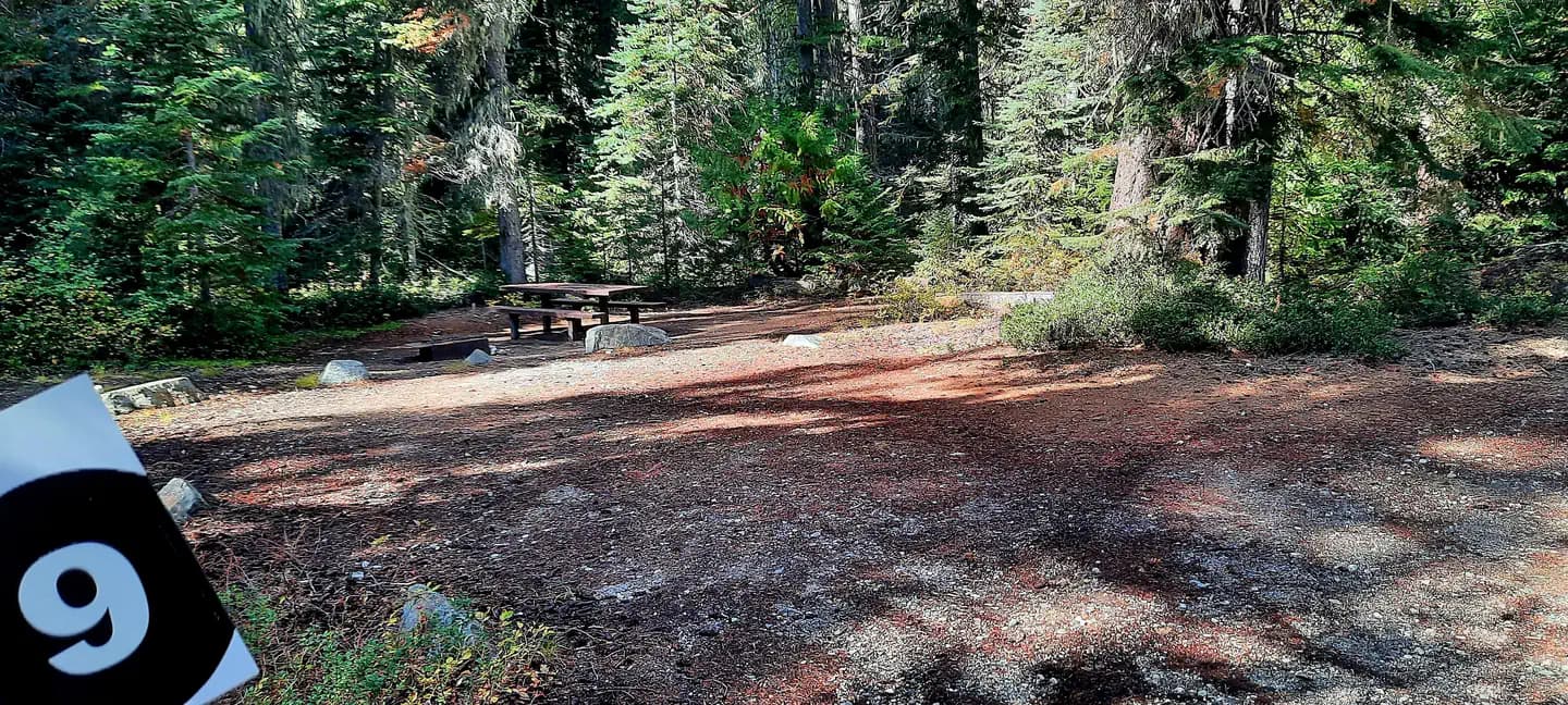 Schaefer Creek
