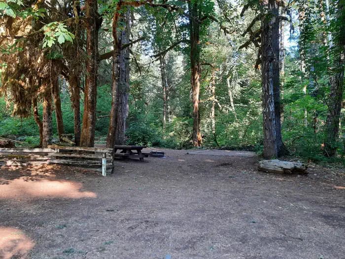 Government Mineral Springs Campground