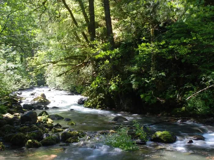 Falls View Campground