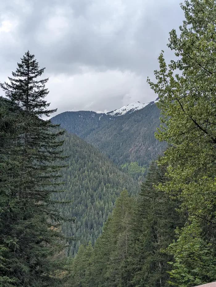 Mineral Park Campground
