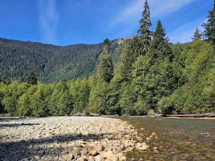 Silver Fir Campground