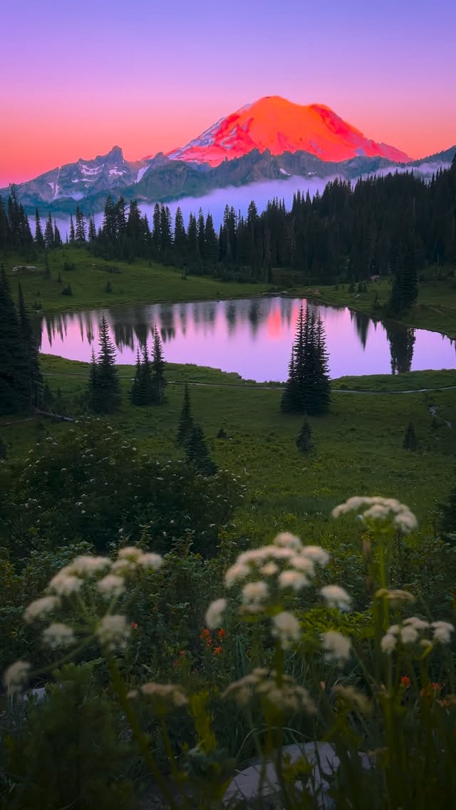 Tipsoo Lake Is Having a Moment, and SR-410 Runs Right Through Enumclaw