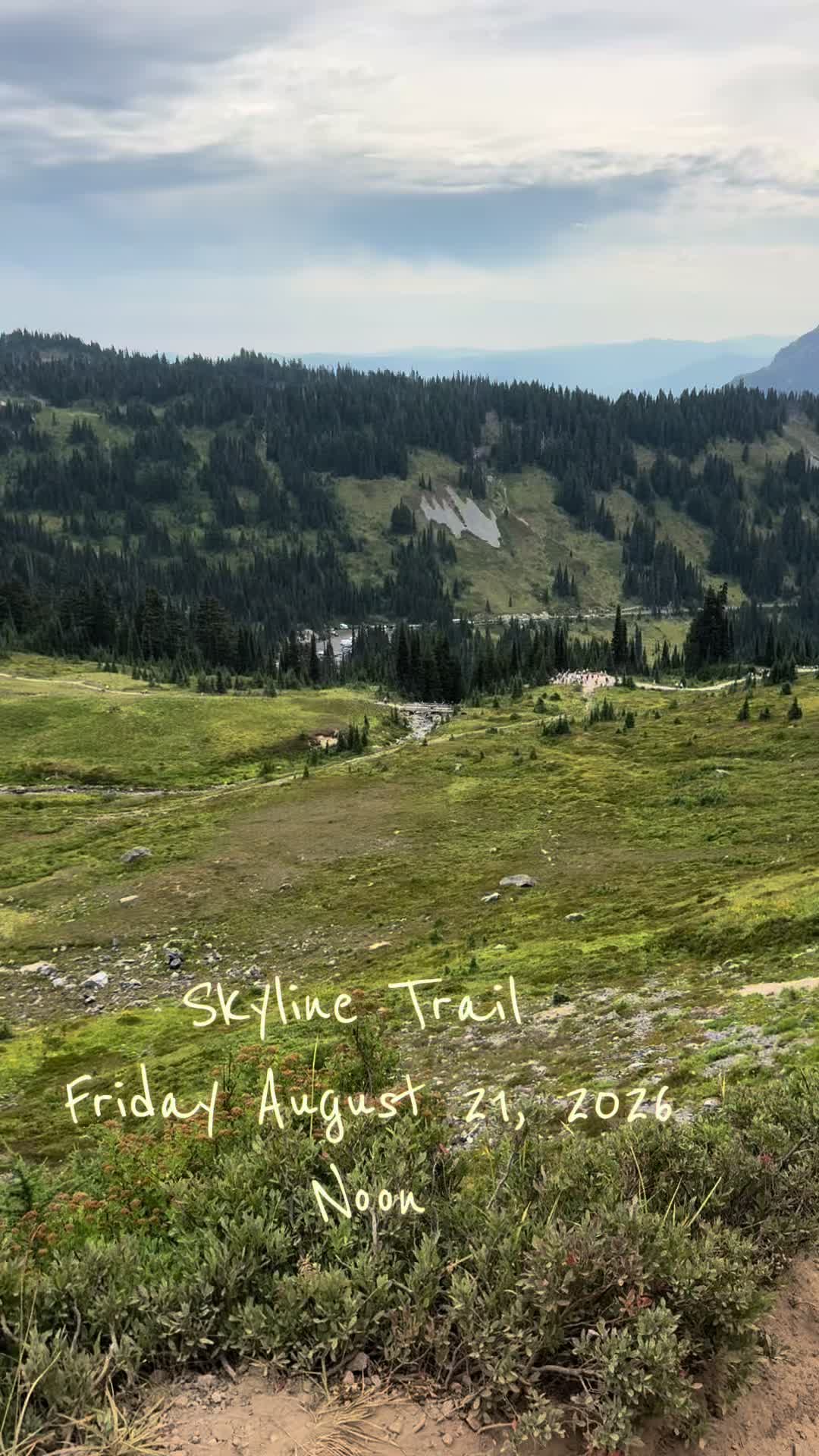 A Bear on Skyline Trail Almost Had Company—and They Didn’t Know It