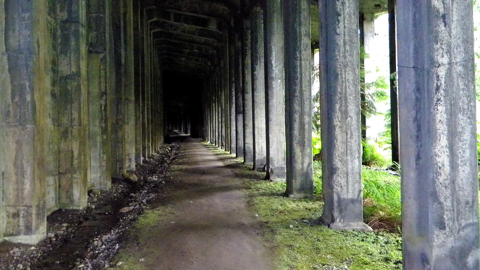 A dirt path runs the length of a concrete snowshed between rows of tall square concrete columns, with gravel at its left edge, moss at its right, ferns and daylight beyond the columns at right, and heavy roof beams narrowing to a dark far end.