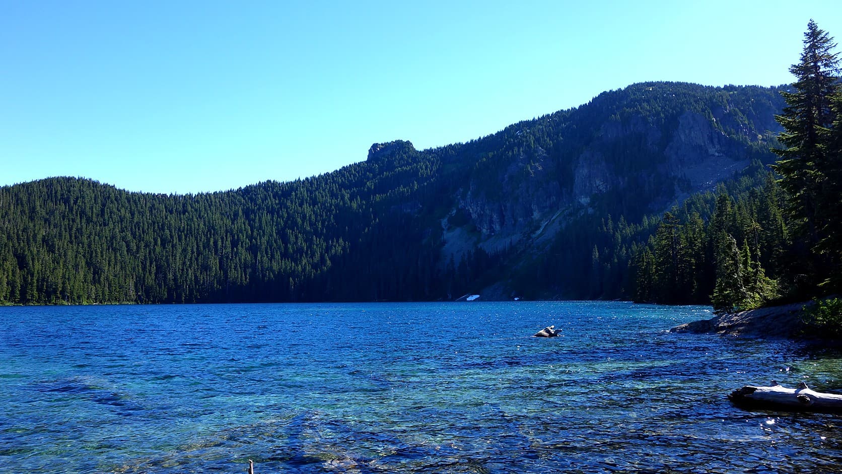 Clear blue water of Mowich Lake under a cloudless sky, with a forested ridge and gray cliffs rising behind it and a drift log at the right edge of the shore.