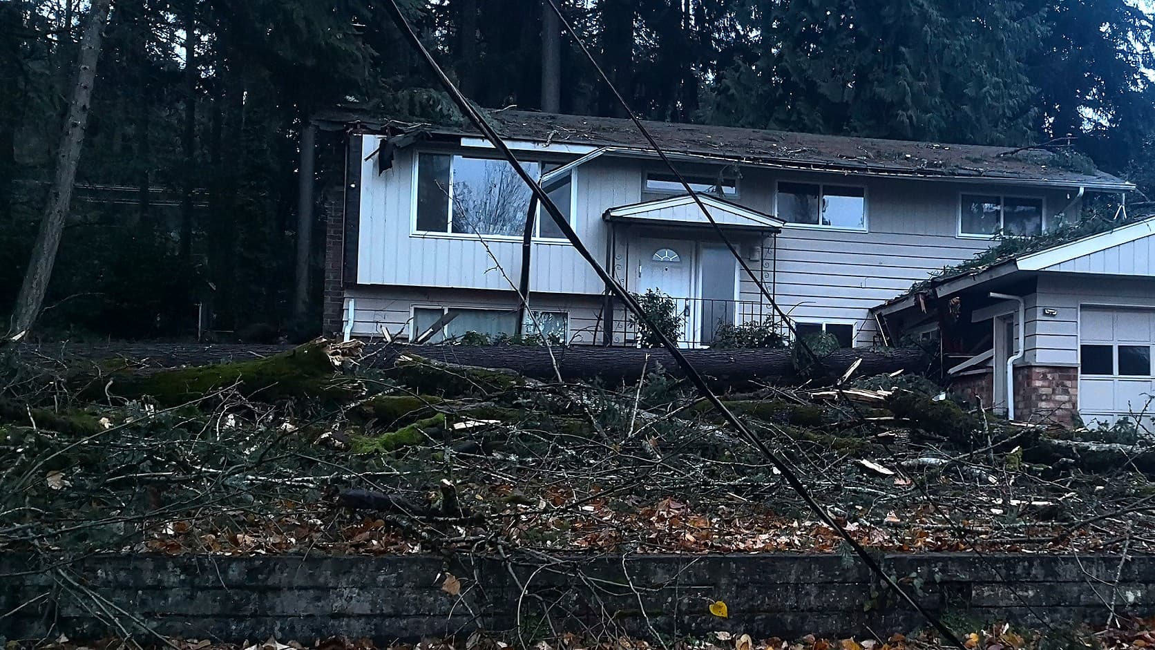 Two power lines sag across a front yard strewn with branches and a fallen tree in front of a two-level house in King County after the November 2024 bomb cyclone.