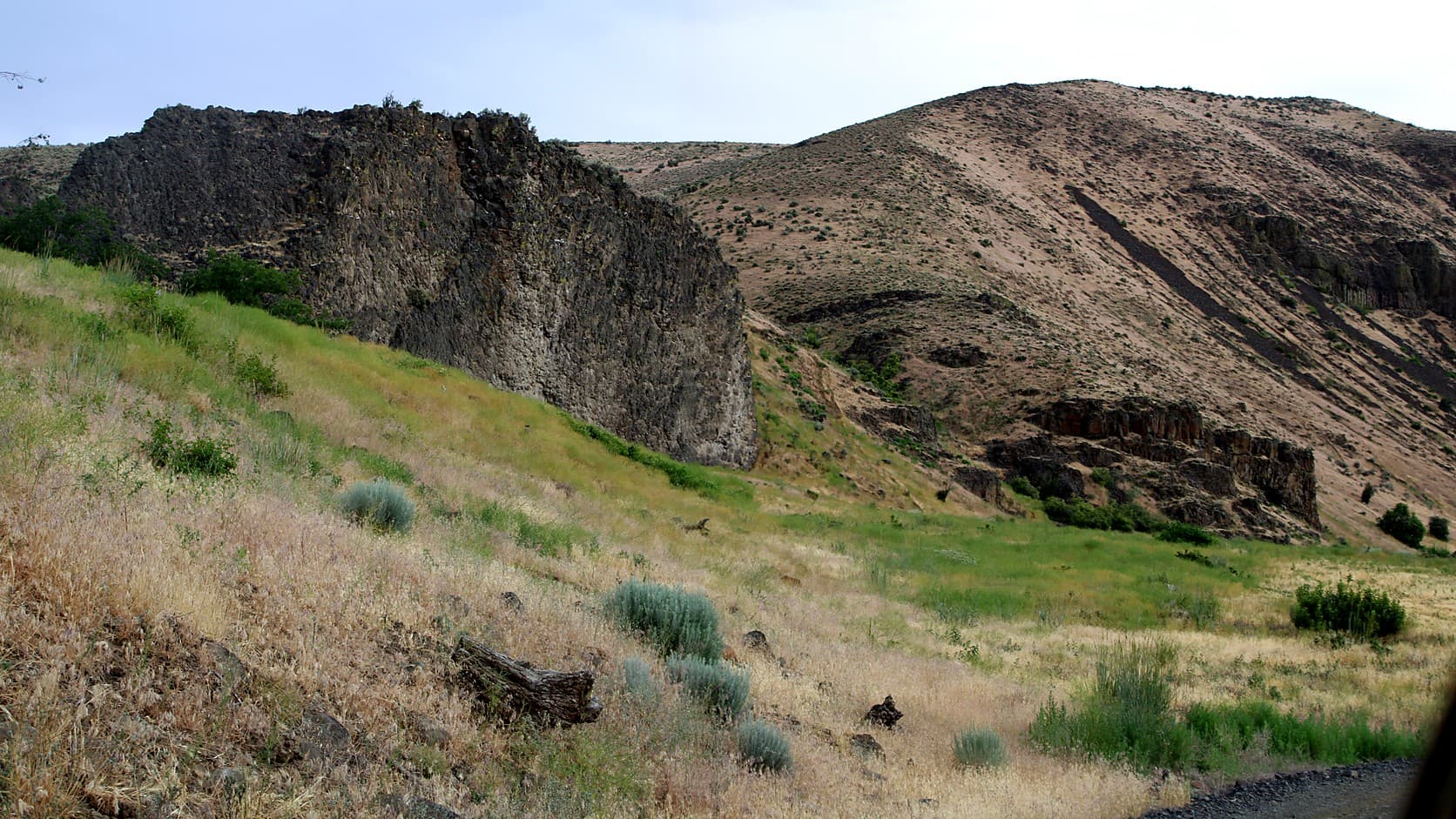 Basalt cliffs above a slope of dry grass and sagebrush at the headquarters canyon of the Oak Creek Wildlife Area west of Naches, photographed in June with no elk present.