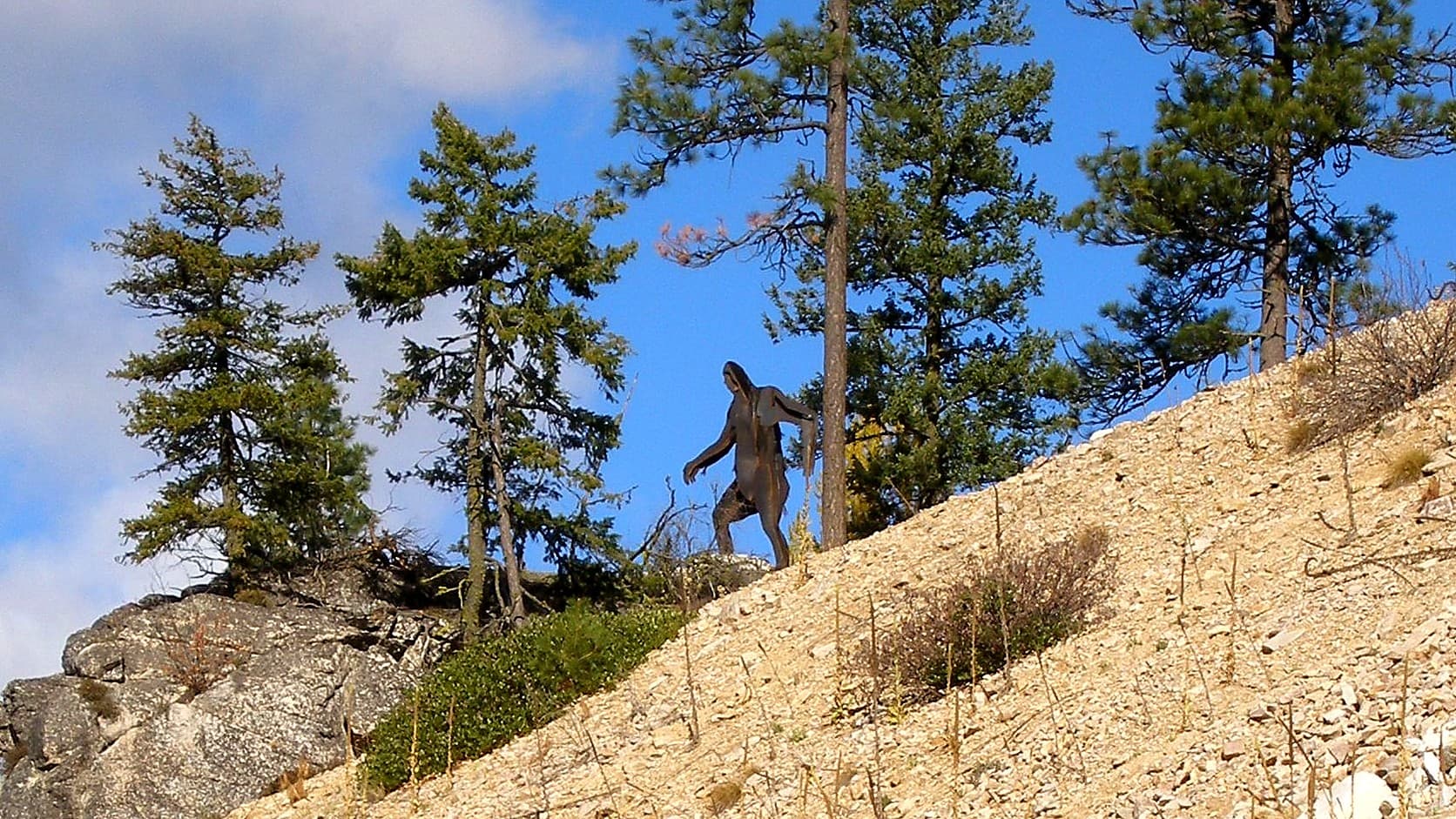 A dark metal statue of a large, long-armed, humanlike figure stands on a steep, rocky hillside among tall pine trees, under a blue sky with white clouds.