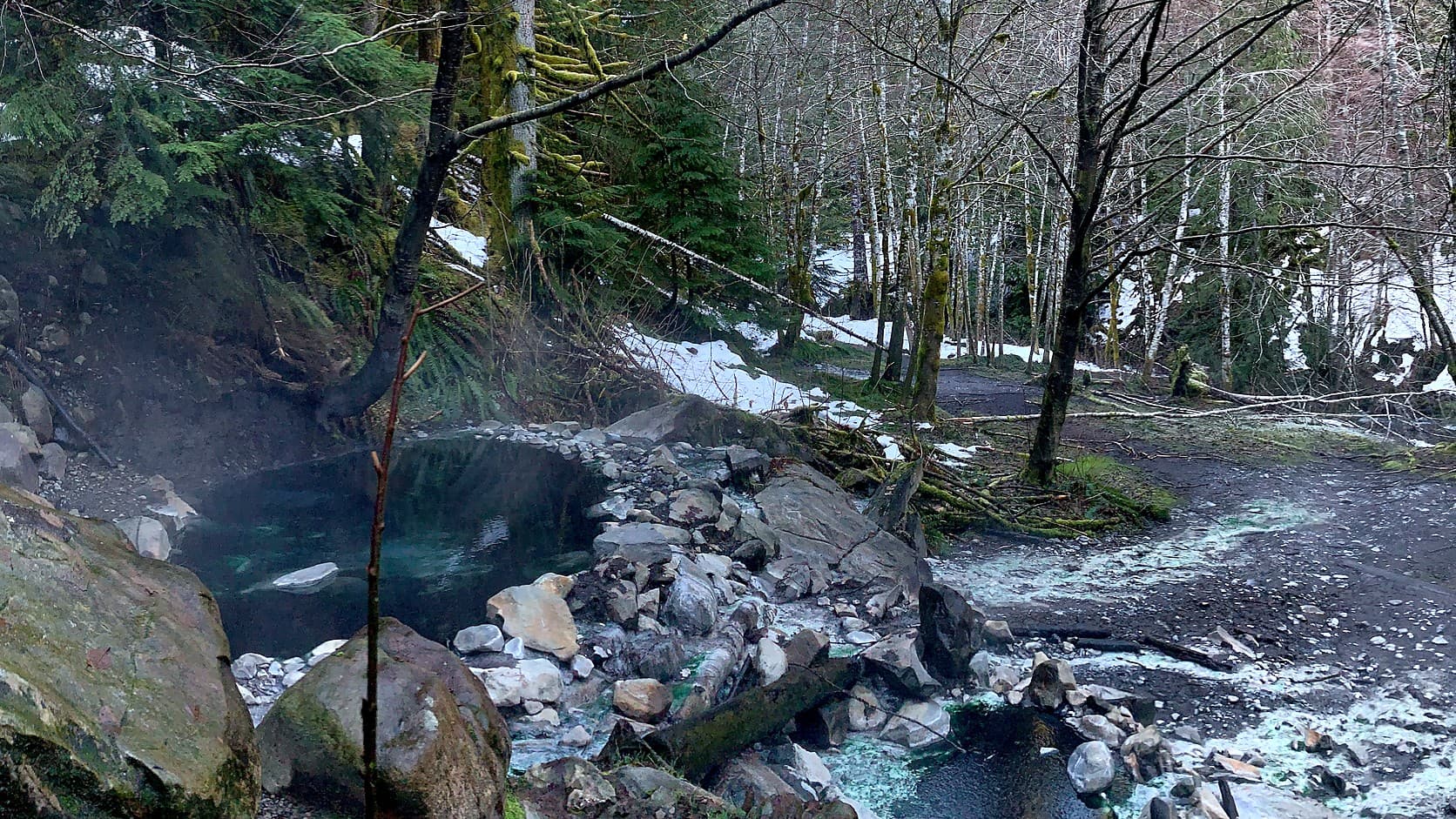 A shallow pool of blue-green water rimmed with rocks gives off faint steam at Olympic Hot Springs, with pale mineral runoff across dark ground, bare alders, mossy evergreens and patches of snow behind it.