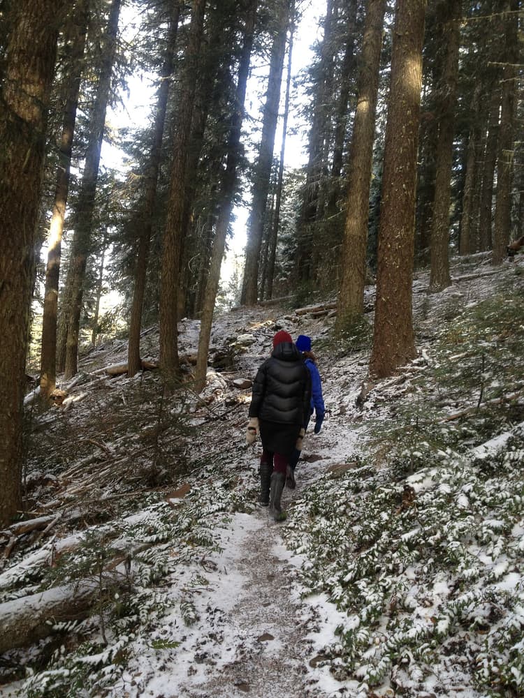 Every Cascade Trailhead Near Enumclaw Connects to a Path That Reaches Mexico
